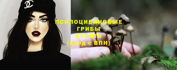 прущая мука Мегион
