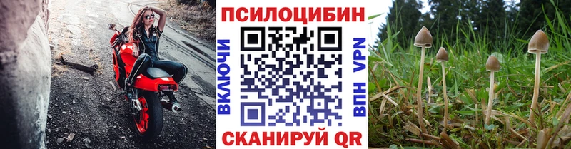 Псилоцибиновые грибы мицелий  Купить  Кольчугино 